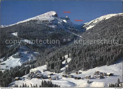 72079995 Kleinwalsertal Schwende