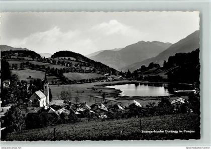 10059993 - Goldegg im Pongau