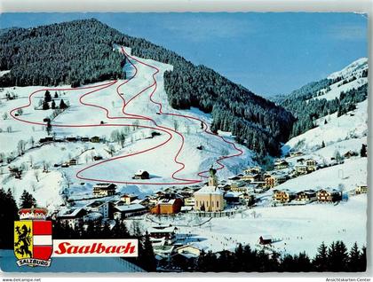 10277008 - Saalbach