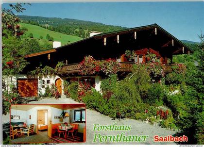 40146661 - Saalbach