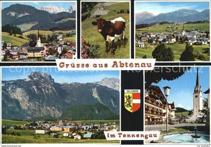 72467309 Abtenau im Tennengau Abtenau