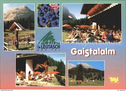 71982749 Leutasch Gaistalalm