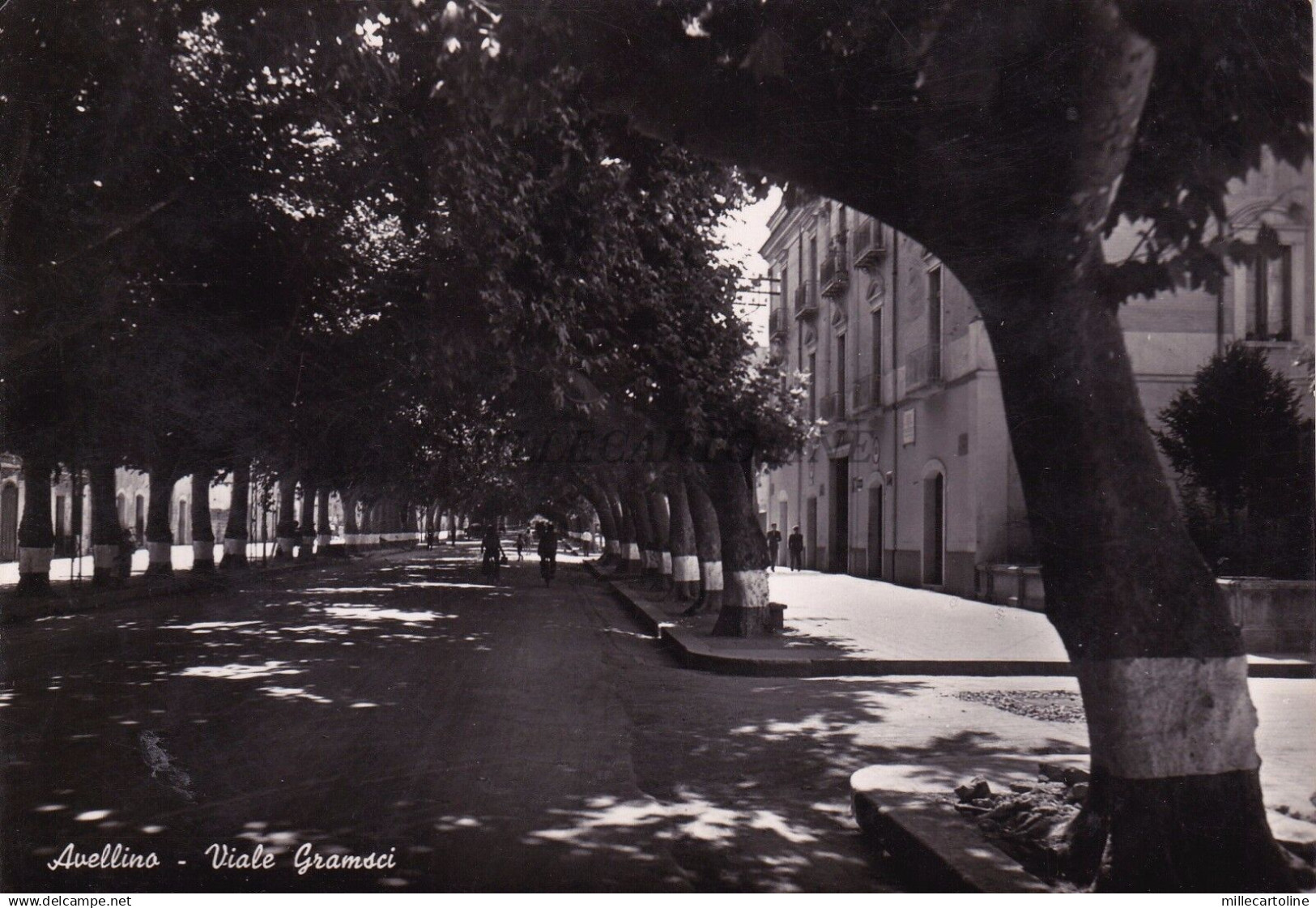 AVELLINO - Viale Gramsci 1953