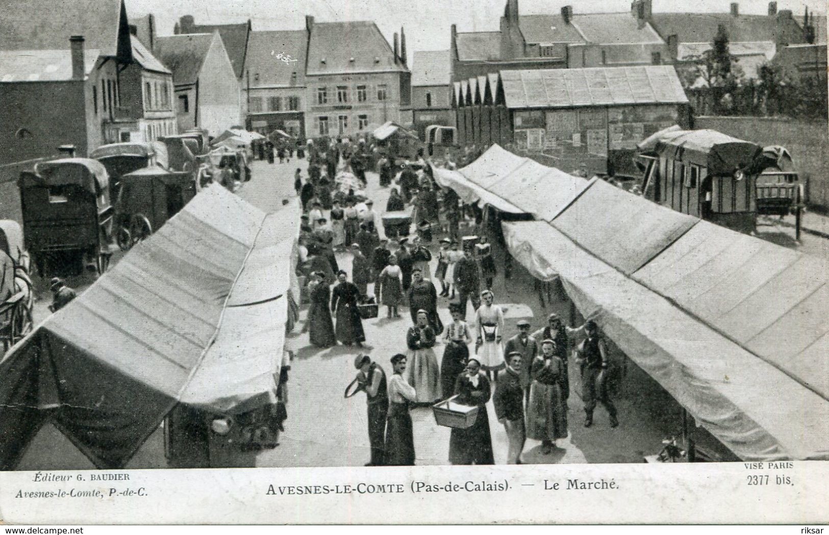 AVESNES LE COMTE(LAPINA)