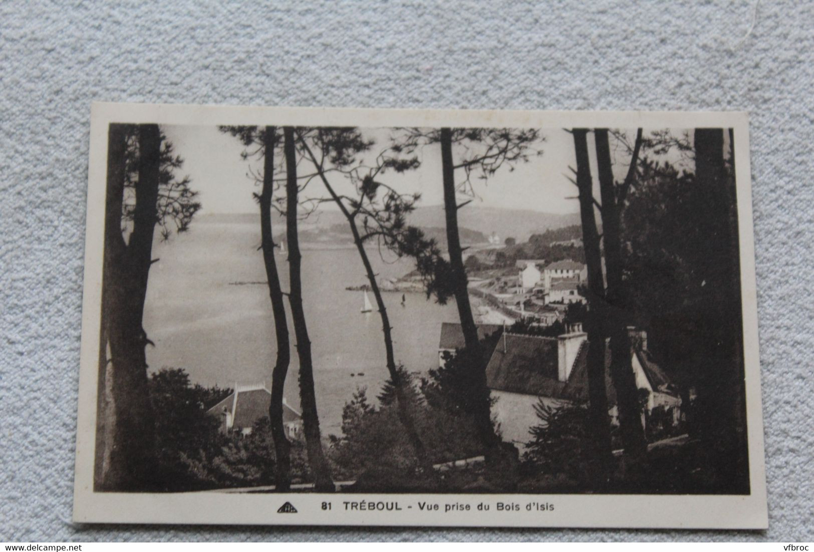 B550, Tréboul, vue prise du bois d'Isis, Finistère 29