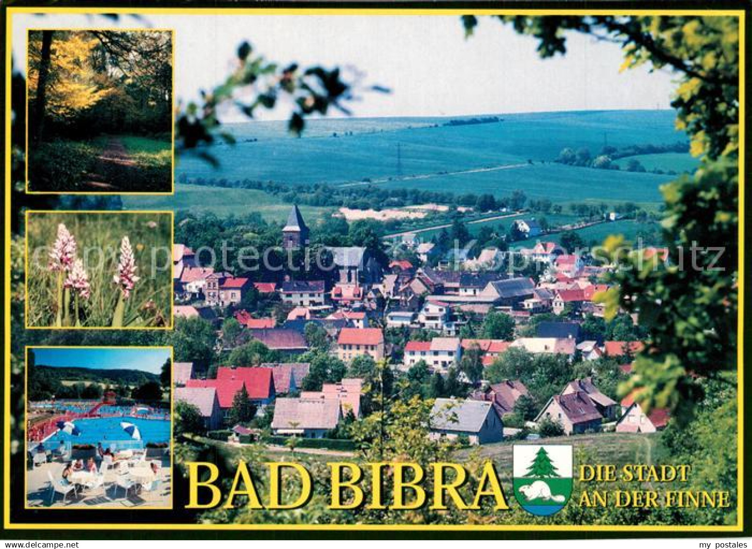 Bad Bibra Stadtpanorama Waldpartie Natur Freibad