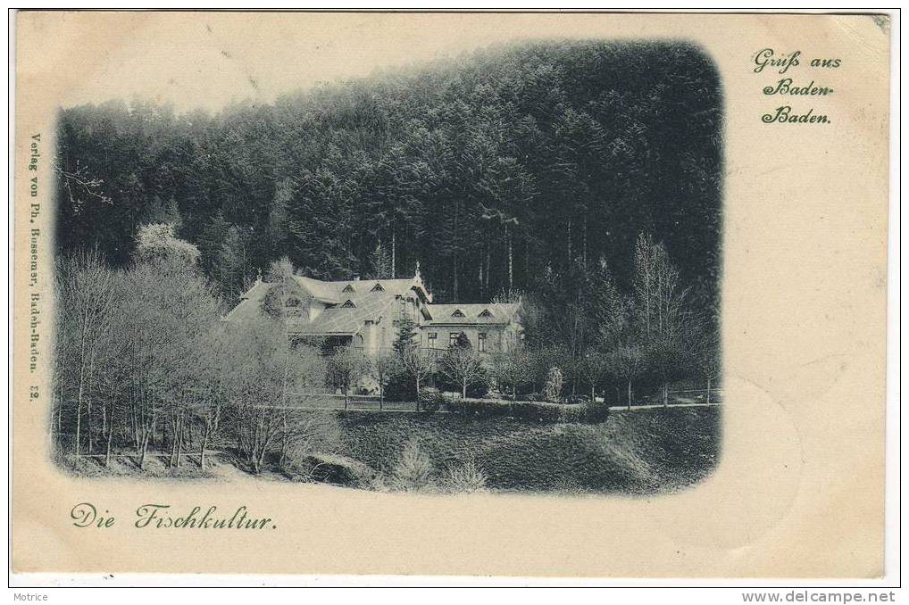 BADEN-BADEN  Gruss aus Baden-baden ,die fischkultur.