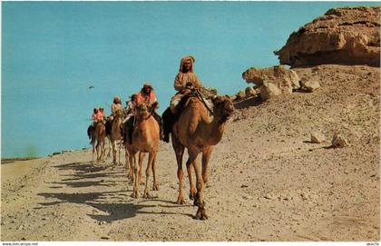 PC BAHRAIN, BAHREIN, CAMEL CARAVAN, Modern Postcard (B3760)