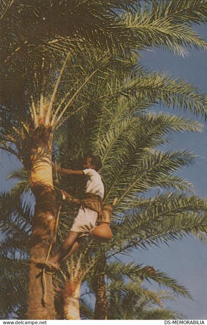 Bangladesh - Collecting Date tree juice 1983 nice stamps