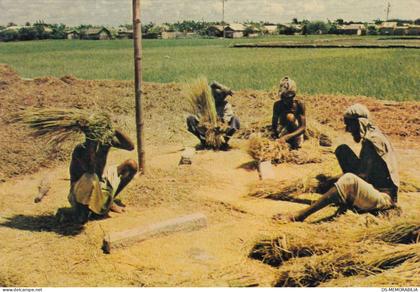 Bangladesh - Farmers 1980