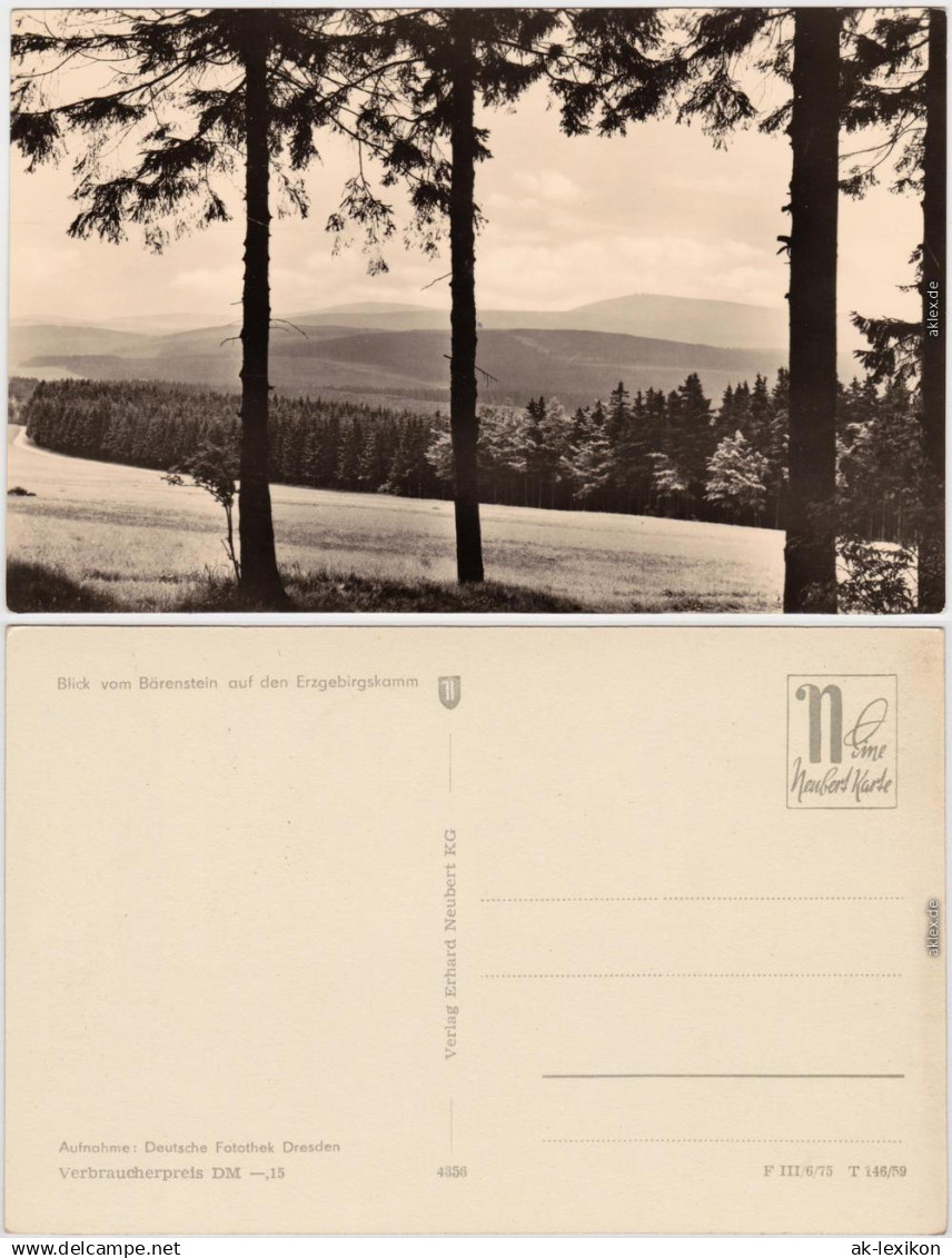 Bärenstein Altenberg (Erzgebirge) Panorama, Blick vom Bärenstein    1959