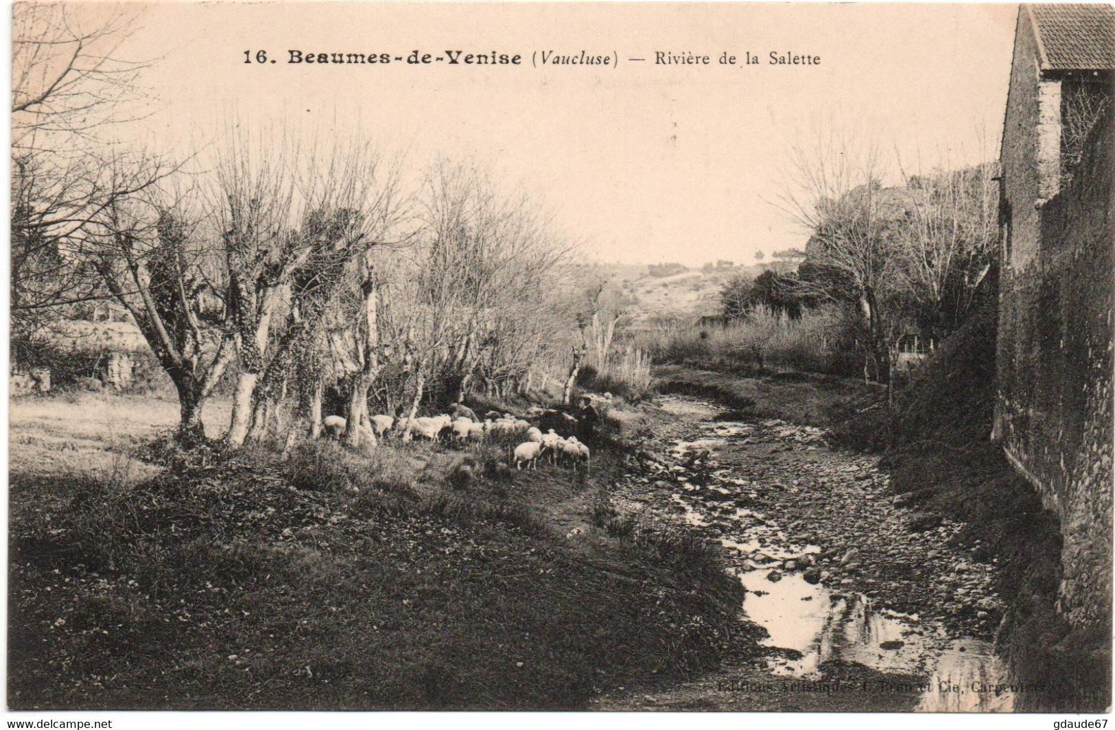 BEAUMES DE VENISE (84) - RIVIERE DE LA SALETTE