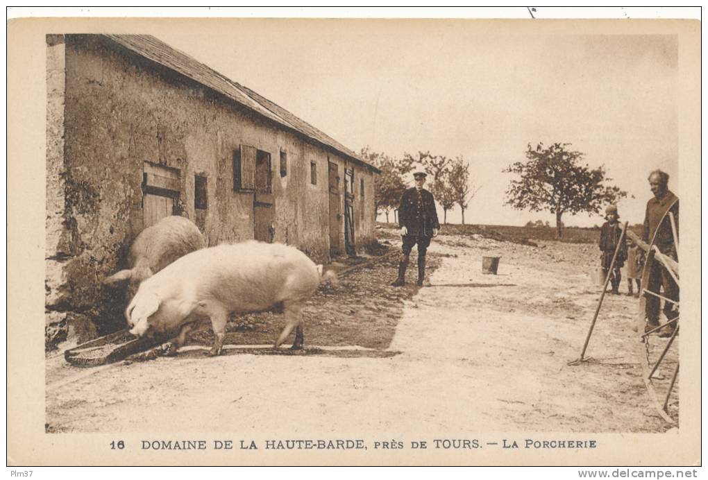 BEAUMONT LA RONCE - Domaine de la Haute Barde - La Porcherie