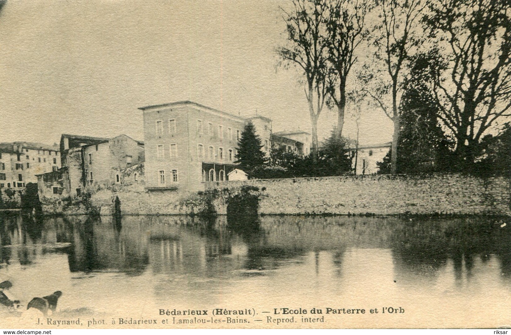 BEDARIEUX(ECOLE)