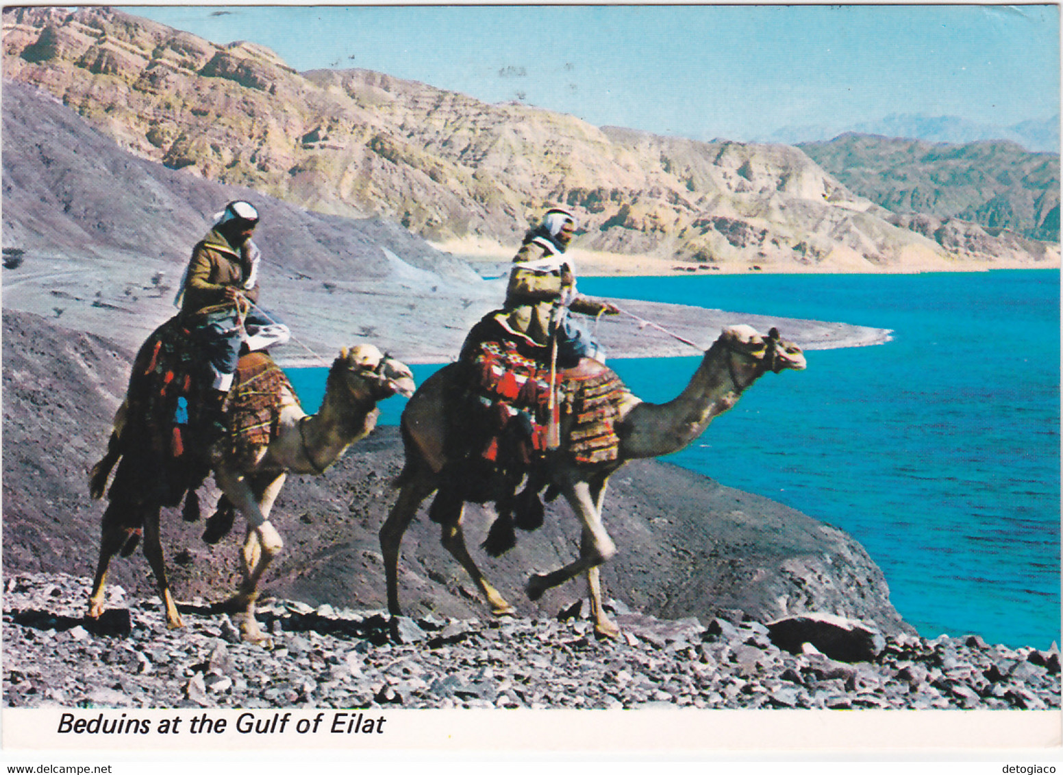 BEDUINS AT THE GULF OF EILAT - ISRAELE - ISRAEL - VIAGG. 1979 -82025-