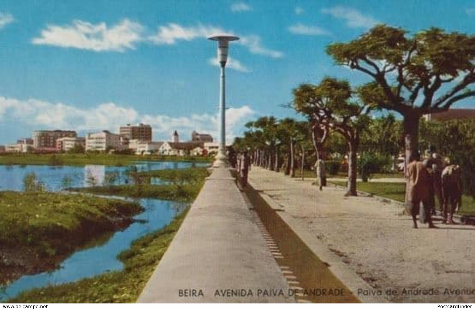 Beira Avenida Andrade Avenue Mozambique African Postcard