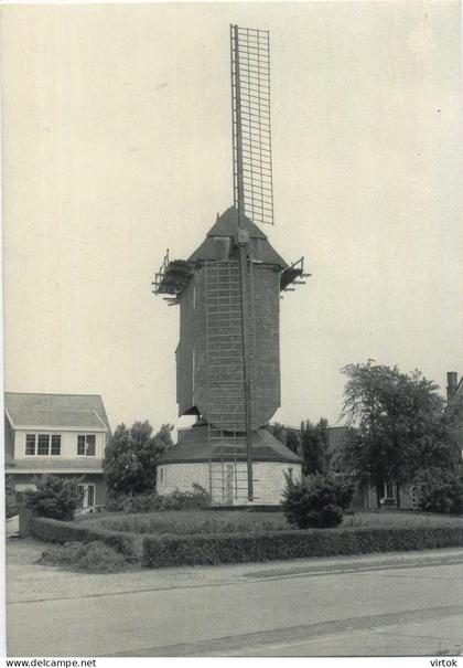 Aartselaar  :  windmolen   ( groot formaat 15 x 10.5 cm )