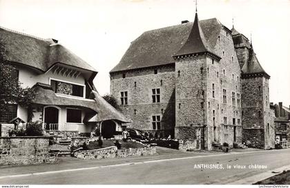 BELGIQUE - Anthisnes - le vieux Château - vue panoramique - Carte postale Ancienne