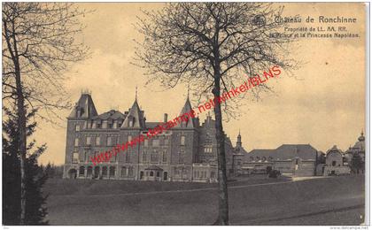 Château de Ronchinne - Propriété de LL. AA. RR. Le Prince et la Princesse Napoléon - Assesse