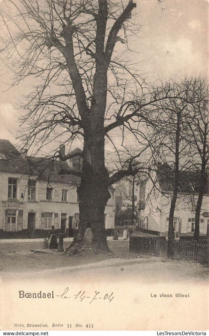 BELGIQUE - Bruxelles-ville - Le vieux tilleul à Boendael - Carte postale ancienne