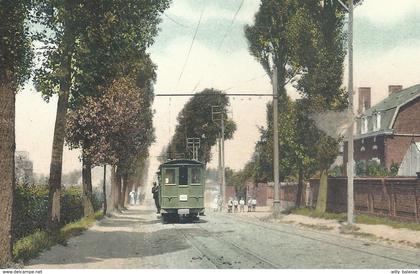 +++ CPA - Colfontaine - PATURAGES - Avenue du Bois - TRAM    //