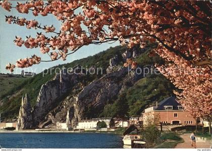 72494589 Dinant Wallonie Le rocher Bayard Dinant