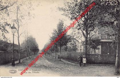 Lindenlei - Avenue des Tilleuls - Edegem