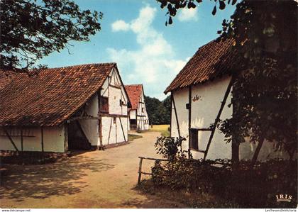 BELGIQUE - Provinciedomein Bokrijk - Openluchtmuseum - Contzenwinning uit Klein Hoeselt - Carte postale ancienne