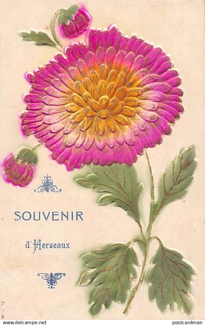 HERSEAUX (Hainaut) Souvenir de...