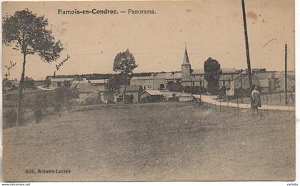 Belgique  HAMOIS-en-CONDROZ - Panorama (carte pas courante)