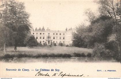 BELGIQUE - Scy (Hamois) - Souvenir de Ciney - Le Château de Scy - Edit - Carte Postale Ancienne