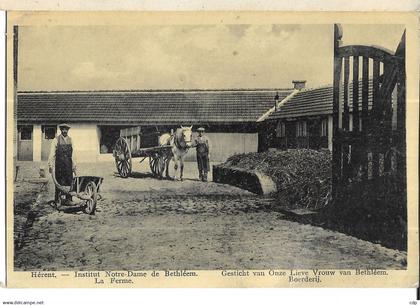 cpa hérent   attelage ferme