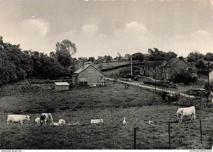 BELGIQUE - Héron - Le fond de Boingt - Cercle Saint Martin - Carte postale