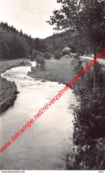 L'Ourthe - Houffalize