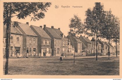 KAPRIJKE  PAARDEMARKT        2 SCANS