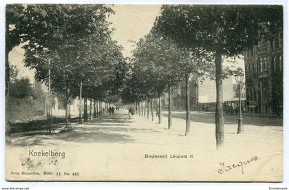 CPA - Carte Postale - Belgique - Bruxelles - Koekelberg - Boulevard Léopold II - 1902  ( SV5425 )