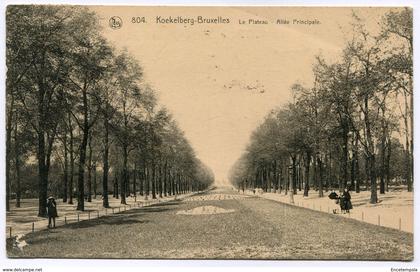 CPA - Carte Postale - Belgique - Bruxelles - Koekelberg - Le Plateau - Allée Principale - 1923 (M8218)