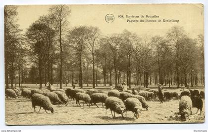 CPA - Carte Postale - Belgique - Koekelberg - Paysage du Plateau de koekelberg ( SV5741)