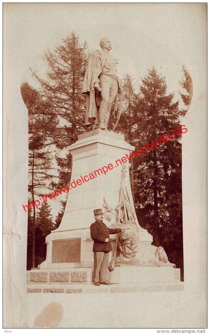 Monument Luitenant-Generaal Baron Chazal - Kamp van Beverloo - Leopoldsburg (Kamp van Beverloo)