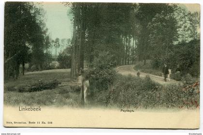 CPA - Carte Postale - Belgique - Linkebeek - Paysage - 1908  (C8716)