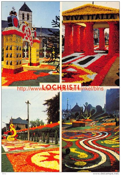 Begonia-Festival - Lochristi