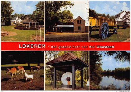 Verloren Bos - Park en vakantieverblijf - Lokeren