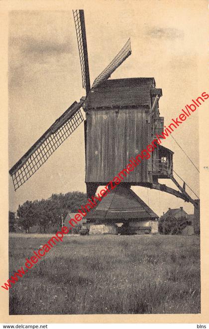 Molen Gestel-Dreef - Meerhout