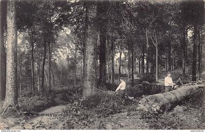 Belgique - RIYEN Mont de l'Enclus (Hainaut) Un coin du bois - Bûcherons - Forestiers