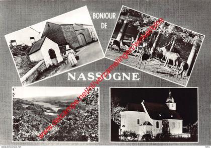 Bonjour - Nassogne