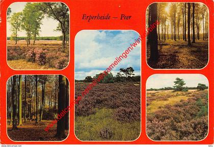 Erperheide - Peer