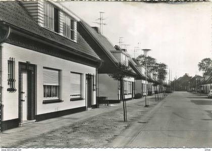 Rijkevorsel :  Lonenhofstraat    (  groot formaat 14.5 x 10.5 cm )