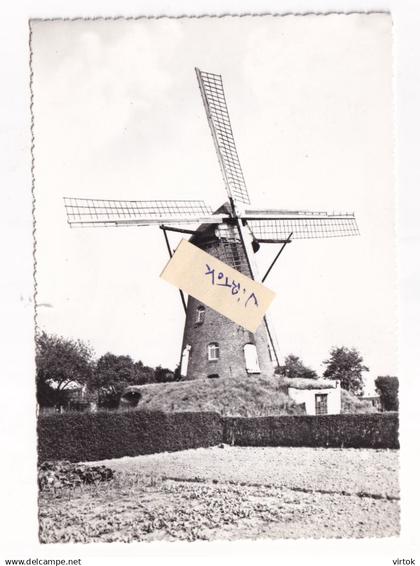 RIJKEVORSEL  :   windmolen - moulin a vent  ( 15 x 10.5 cm )