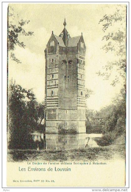 Environs de Louvain. Donjon de l'ancien Château Terheyden à Rotselaer. Rotselaar.