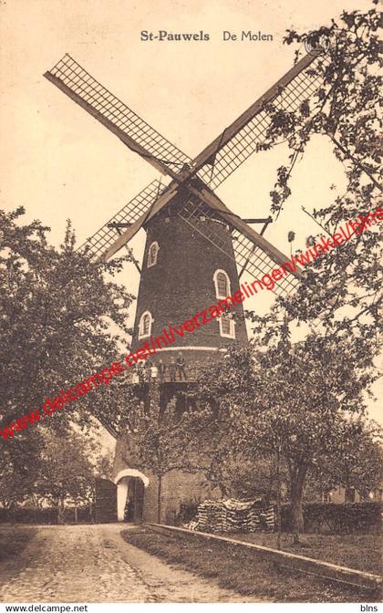 St-Pauwels - De Molen - Sint-Gillis-Waas